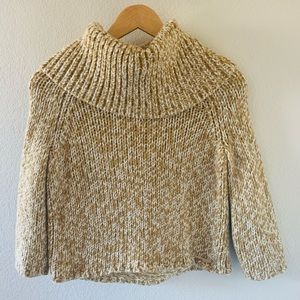 Winter Turtleneck Sweater